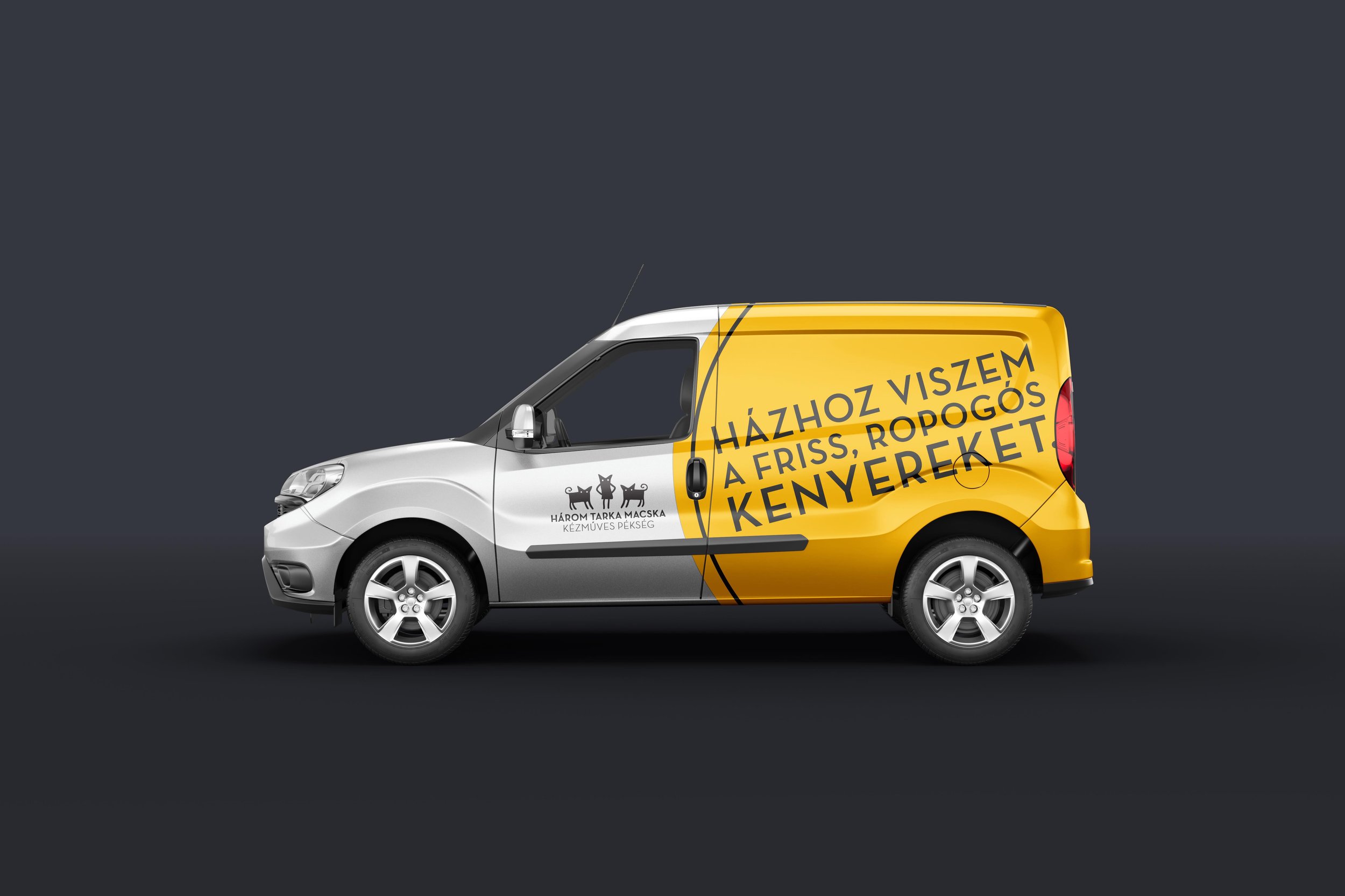 macska car mock.jpg