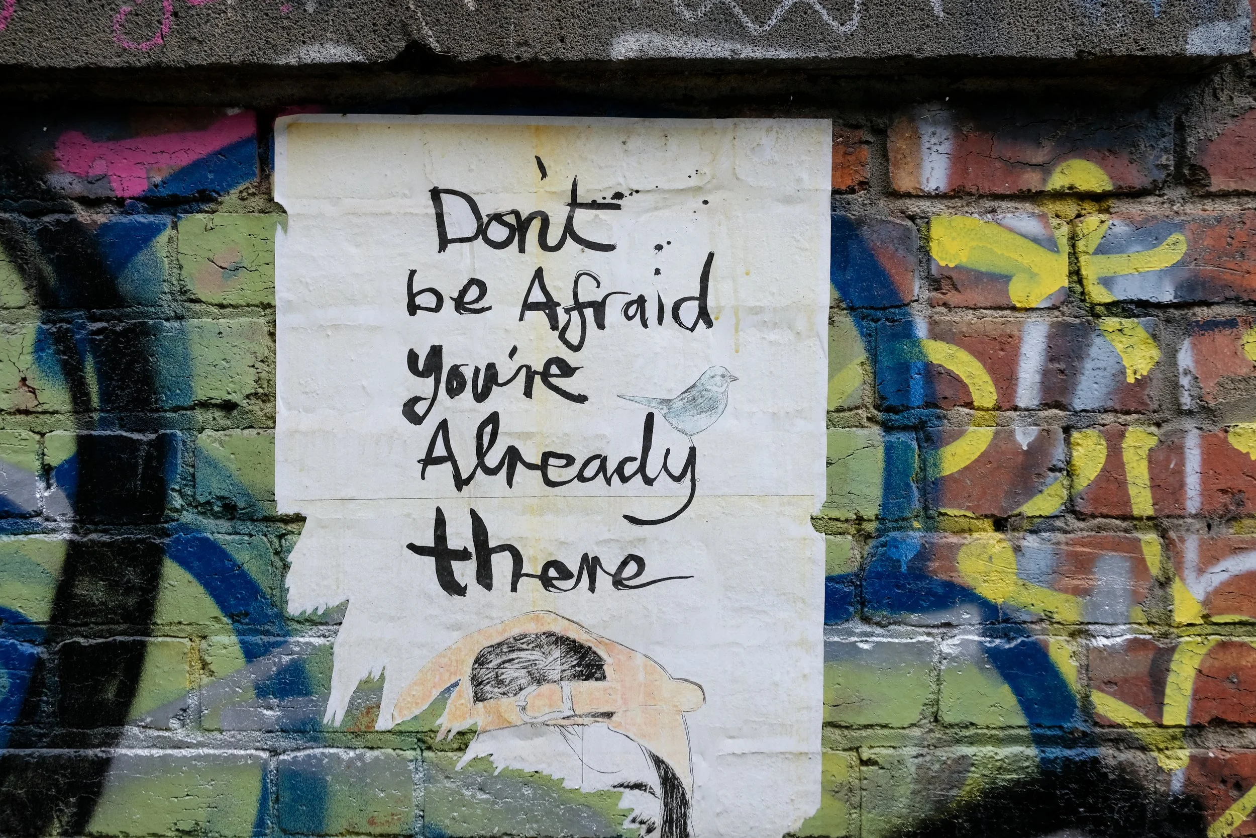 DSCF7486.jpg