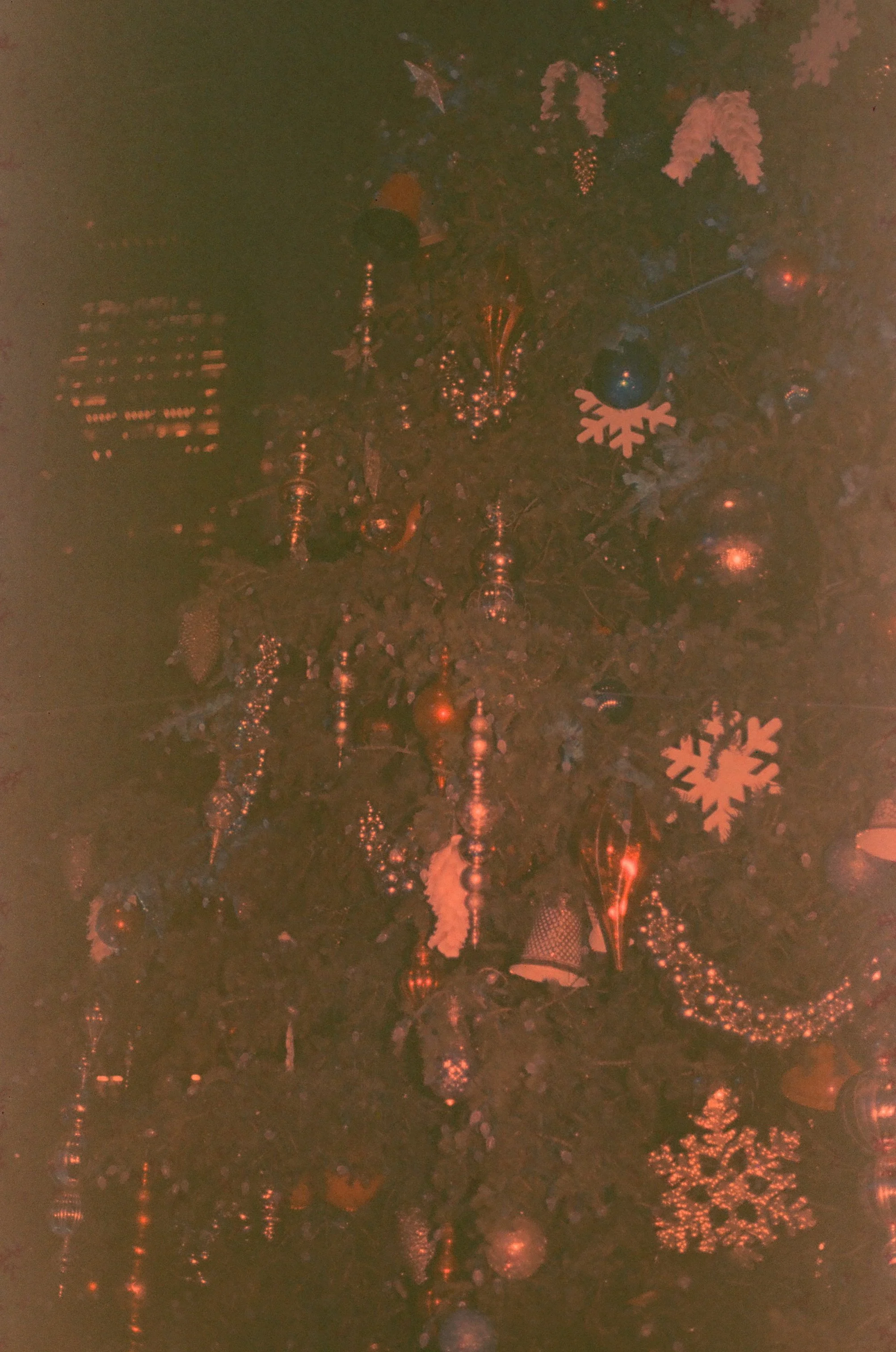 000352180016.jpg