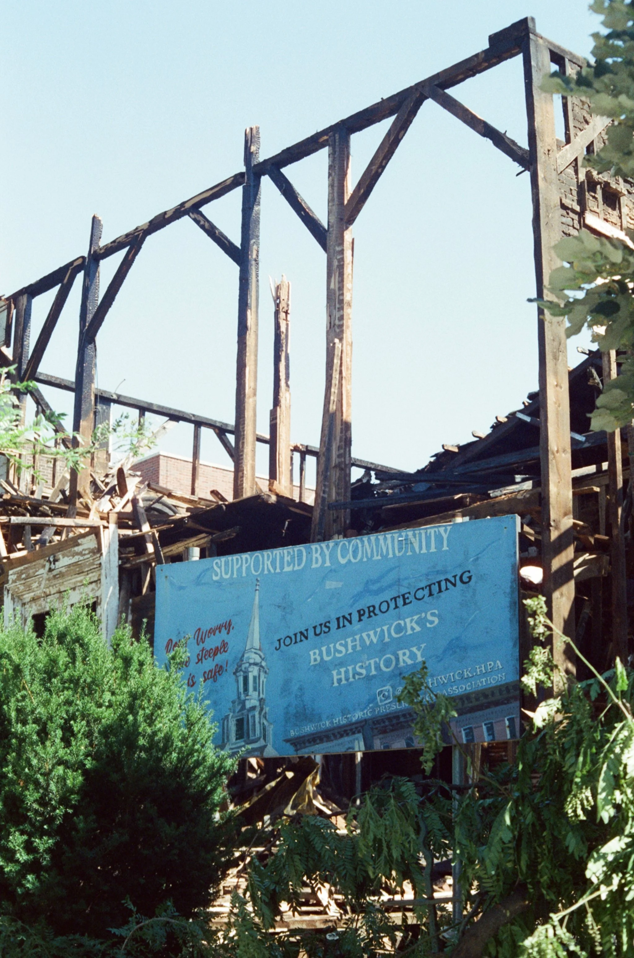 486014_186_37.jpg