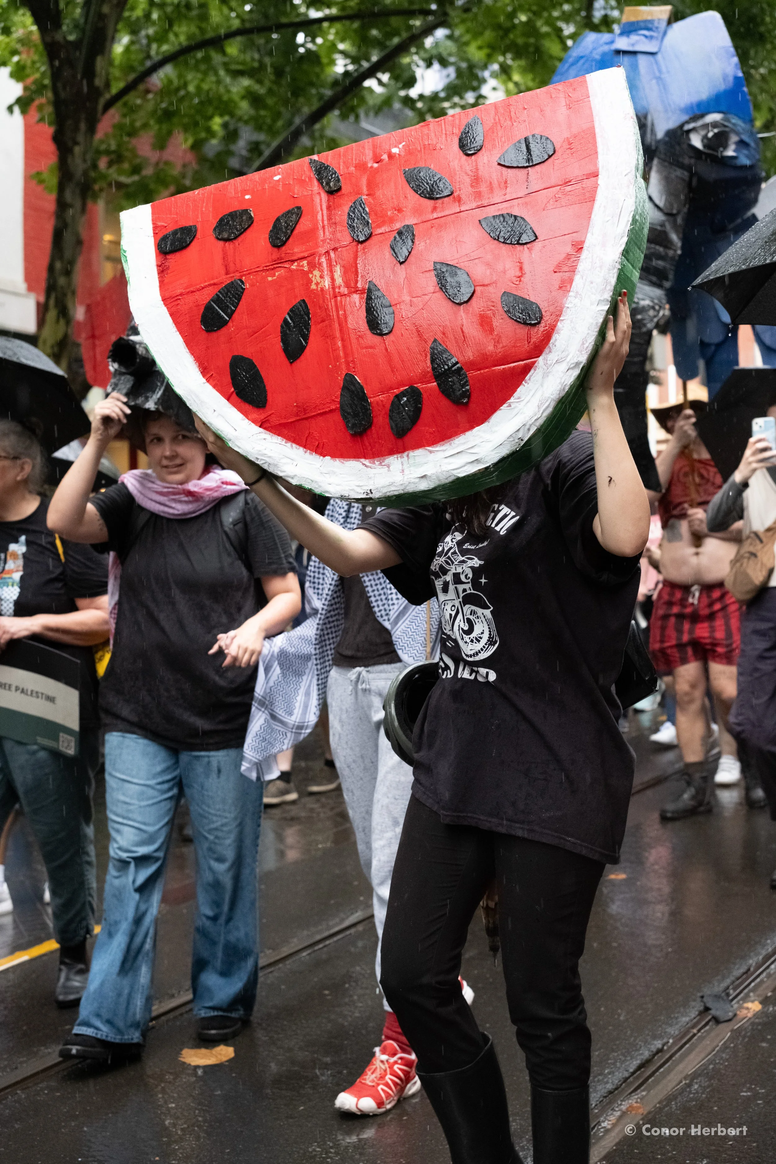 Melbourne, January 7 2024