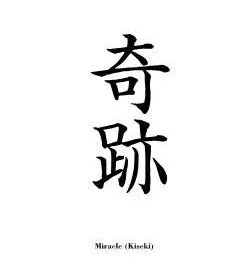Miracle Japan Visitors 1
