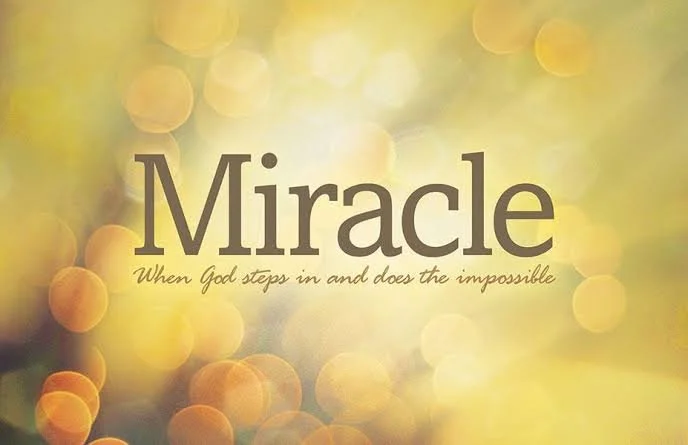 Miracle Japanese Visitors 3