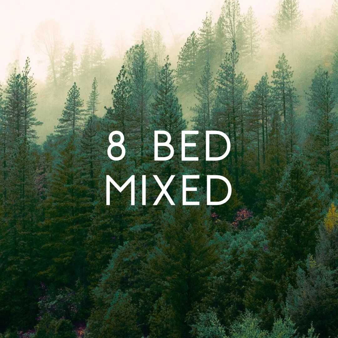 8 bed (mixed)
