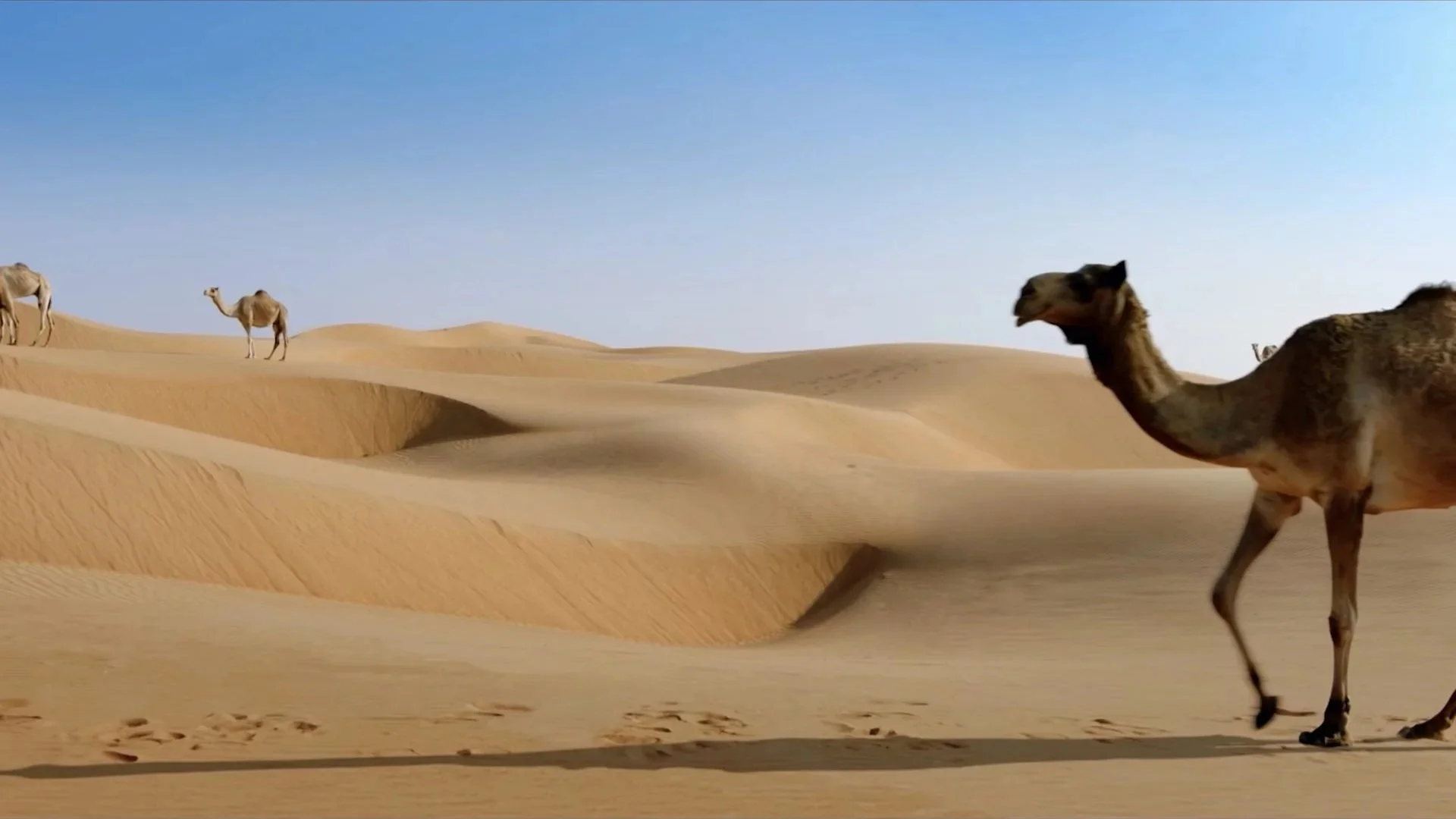 Film still from the Oman Across the Ages Museum documentary — Land of
Oman, directed by creative director James Dougan during five-week Omani
production