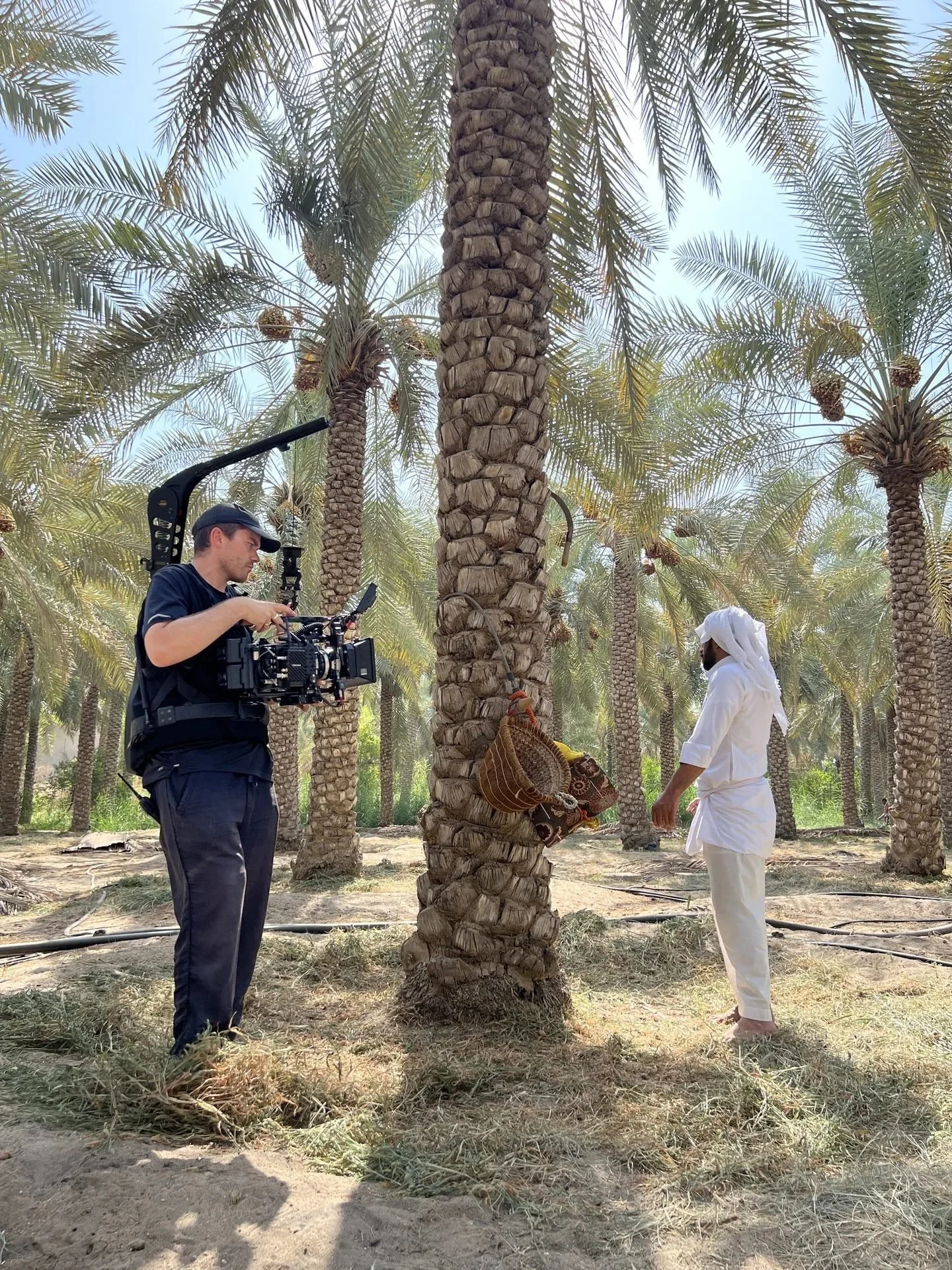 Cameraman filming local farmer beneath date palms at Al-Ahsa Oasis for Evolving Cities