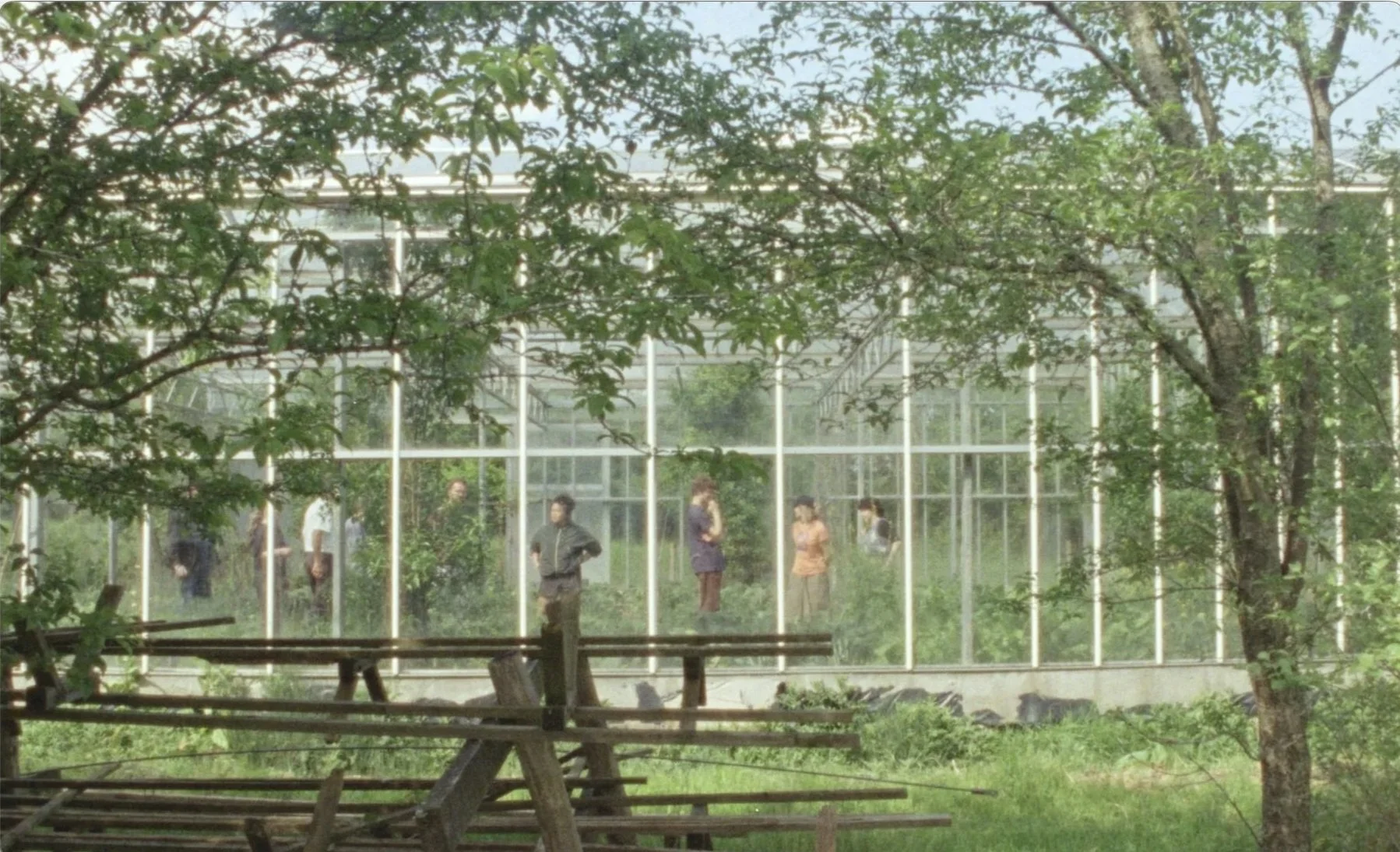 NamaYasai farm glasshouse in Sussex during Mountain Le Doyenné chef farm visit,
shot on 16mm film by James Dougan