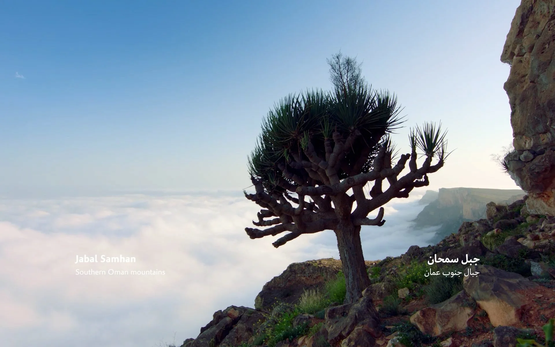 Jabal Samhan Oman wadi and mountain landscape from the Land of Oman documentary
for Oman Across the Ages Museum, filmed during five-week location shoot
by James Dougan