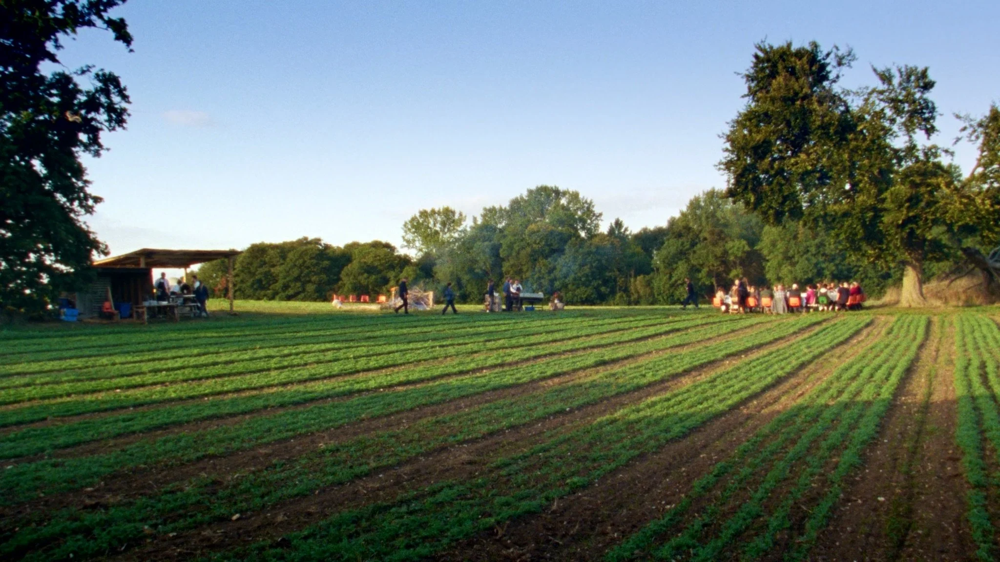 A communal outdoor meal set within a cultivated field, filmed for a documentary about food and place