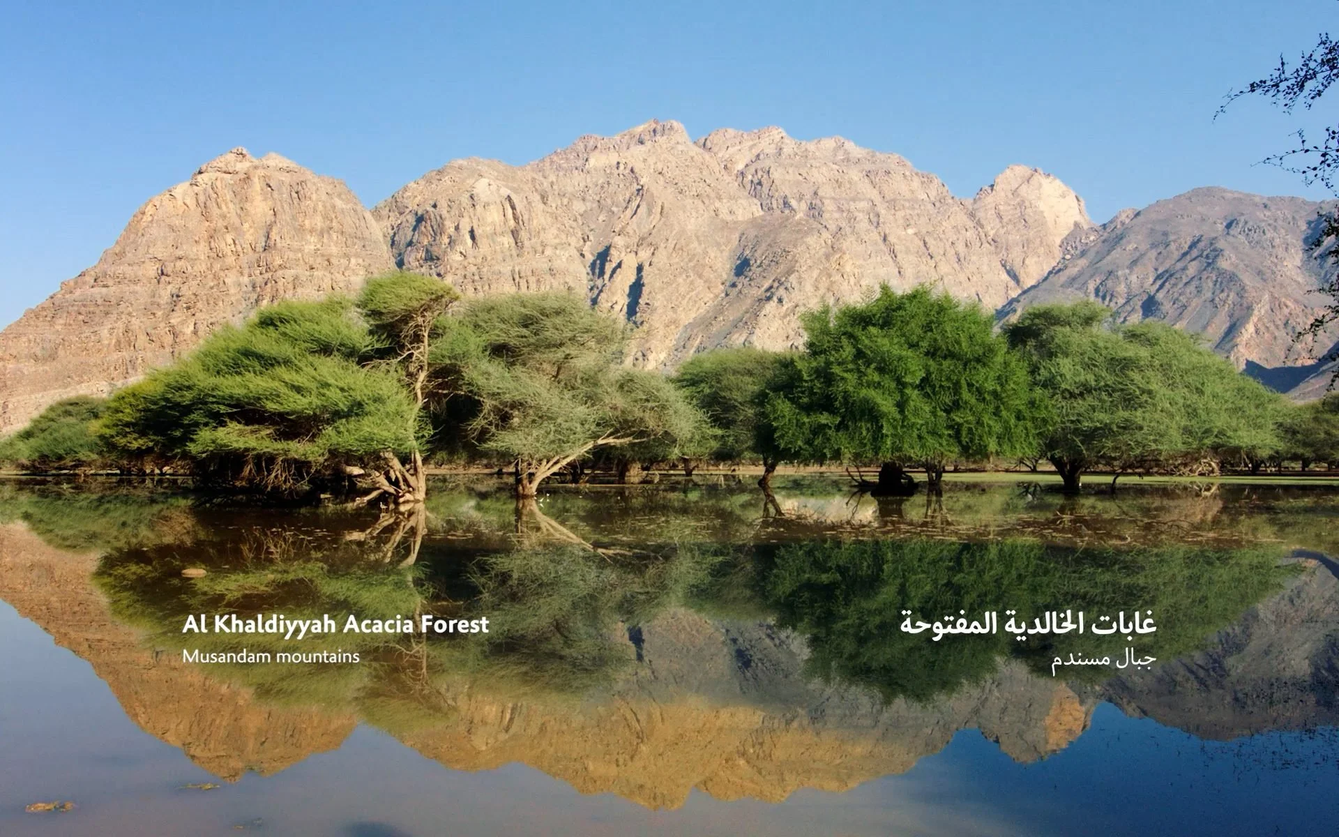 Opening landscape of the Land of Oman documentary for Oman Across the
Ages Museum — sweeping Omani scenery filmed over five weeks, creative
director James Dougan