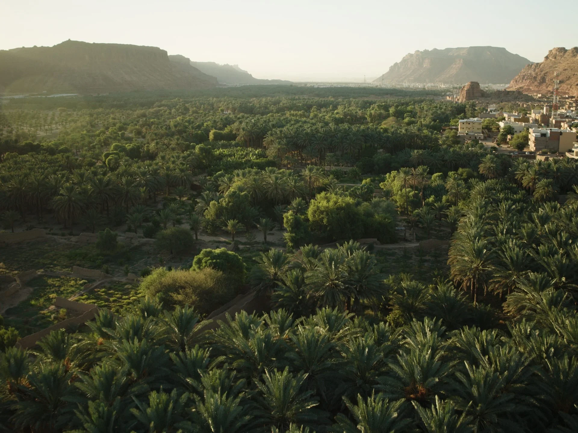 Golden hour aerial view of the AlUla oasis - a vast expanse of date palms and green
vegetation stretching between the sandstone mountains of northwest Saudi Arabia