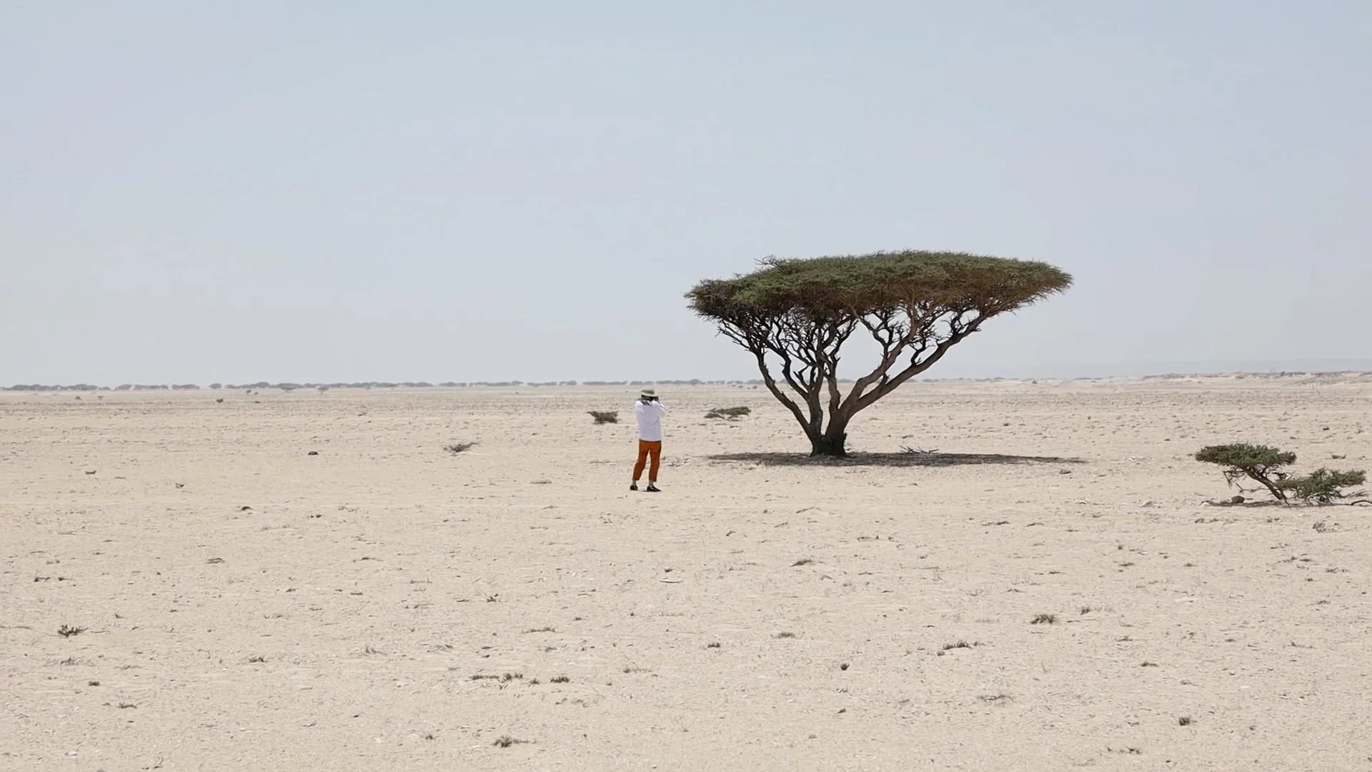 On-location filming still from the Land of Oman making-of documentary,
five-week Oman production for the Across the Ages Museum, creative
direction James Dougan