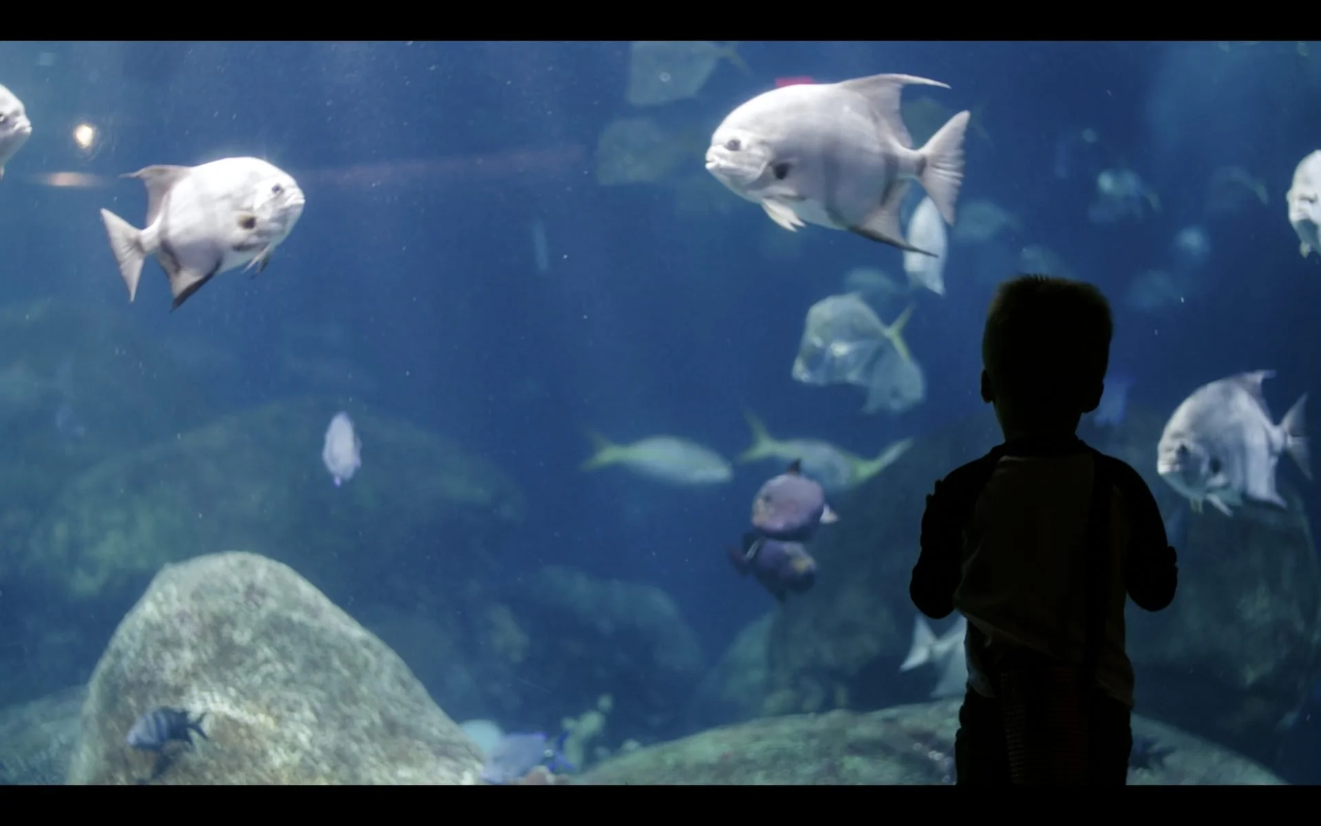 Human experience visual in Oxford North innovation district branded documentary by James Dougan