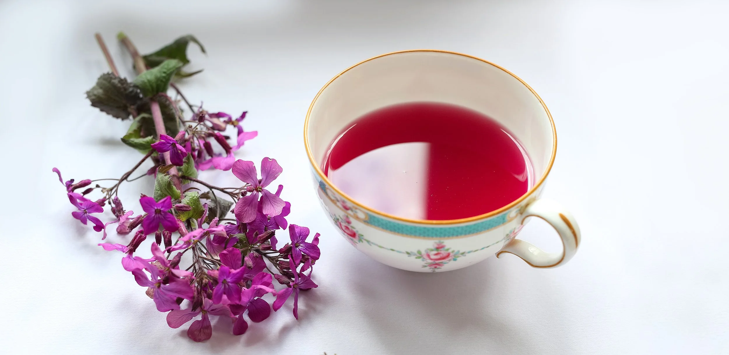 Hand reading &amp; organic art workshops in Norfolk