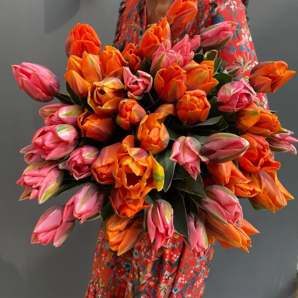 Tulip subscription