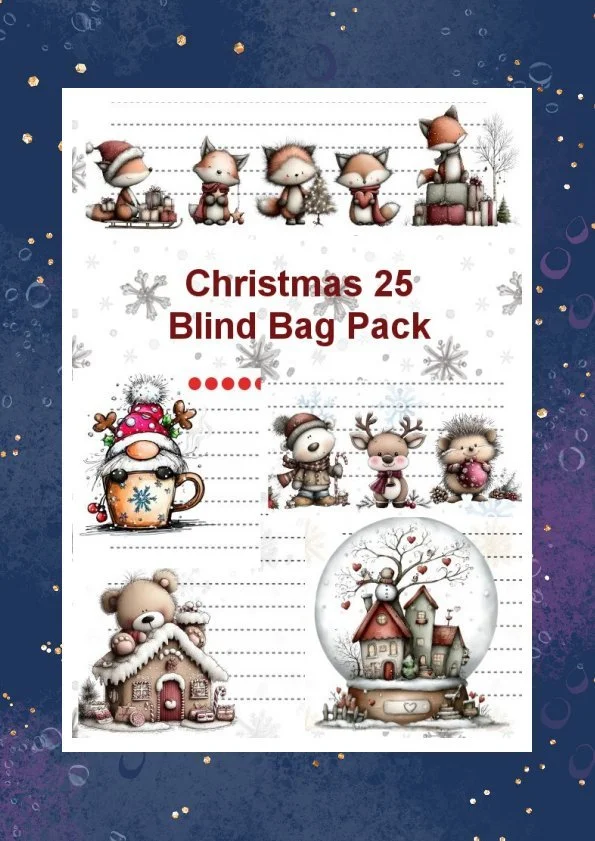 christmas 2025 blind bag.jpg