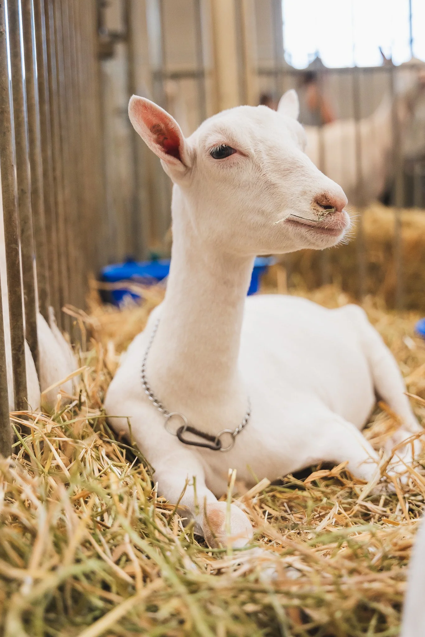 MNSF 2024 - Berndt-7404106.jpg