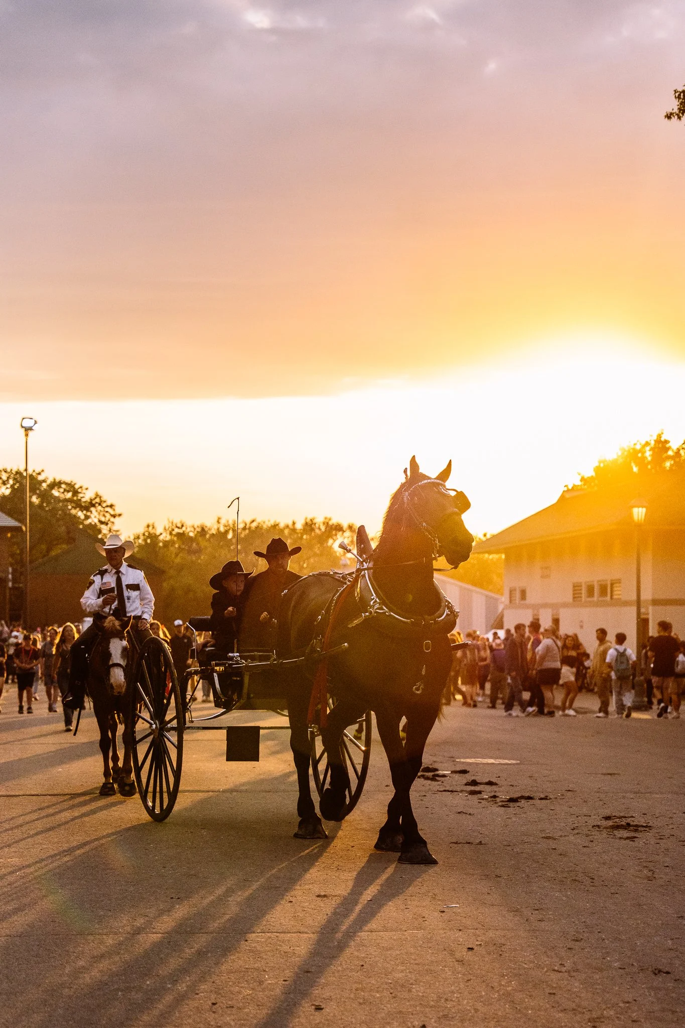 MNSF 2024 - Berndt-7409378.jpg