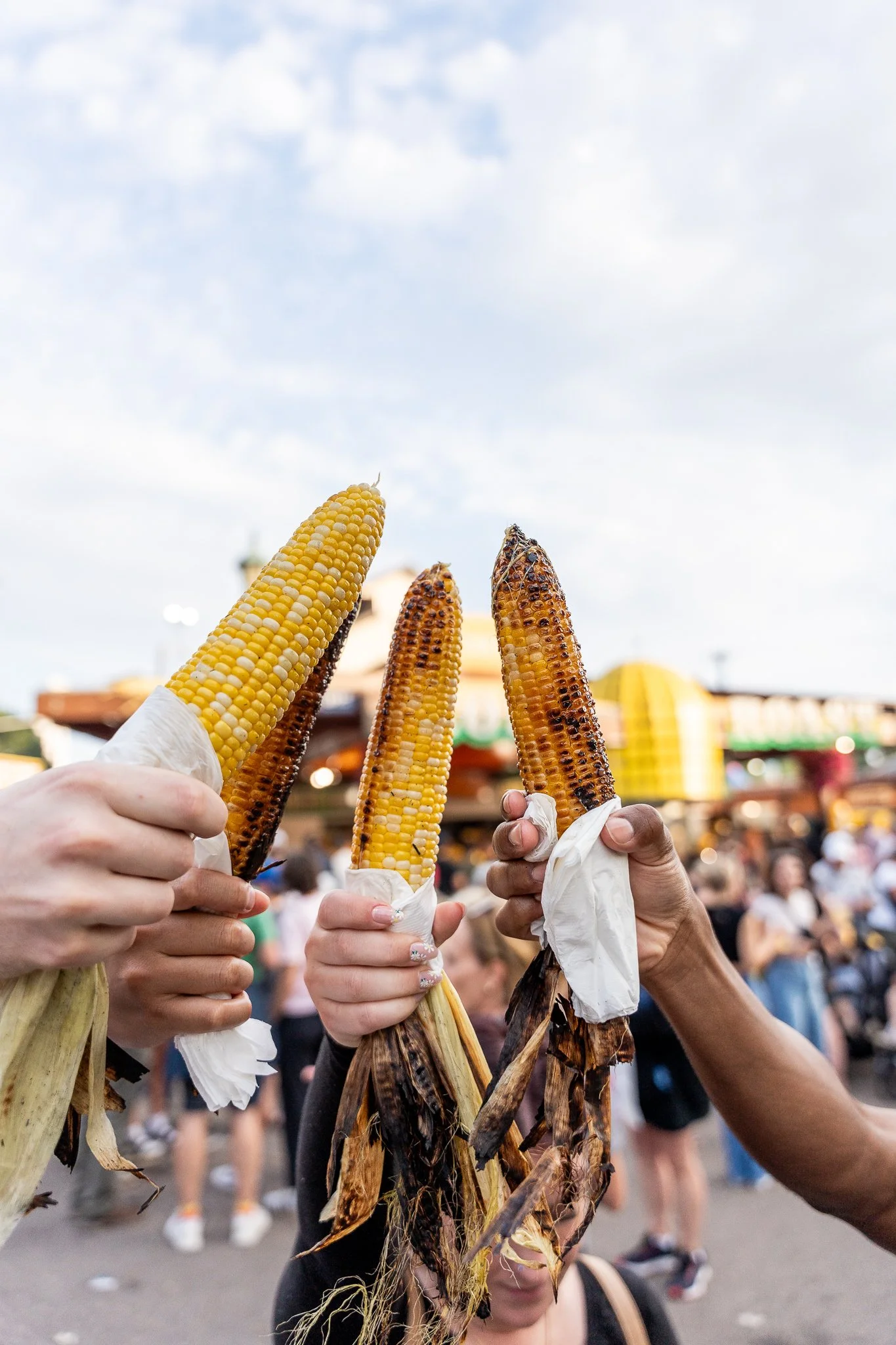 MNSF 2024 - Berndt-7408831.jpg