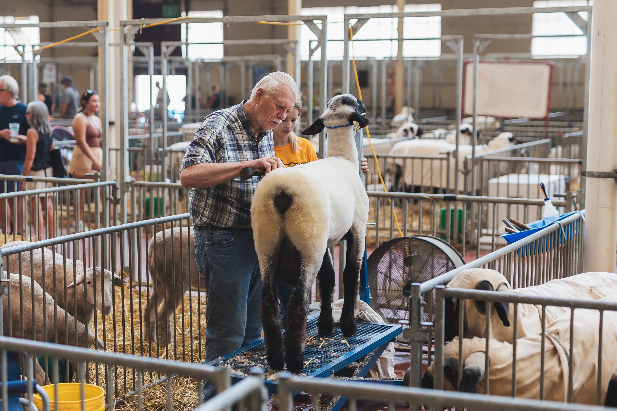 MNSF 2024 - Berndt-7302272.jpg