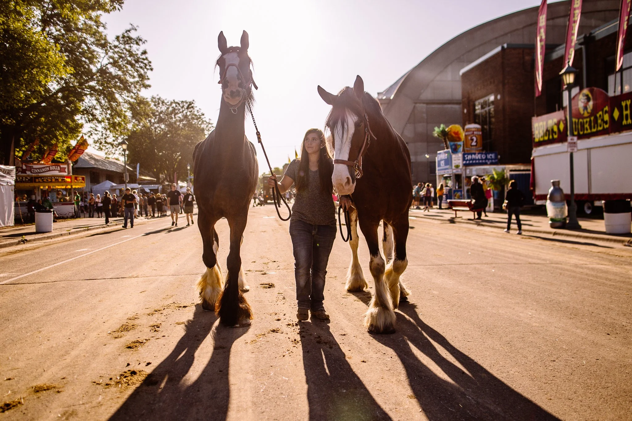 MNSF 2019 - Berndt-4160.jpg