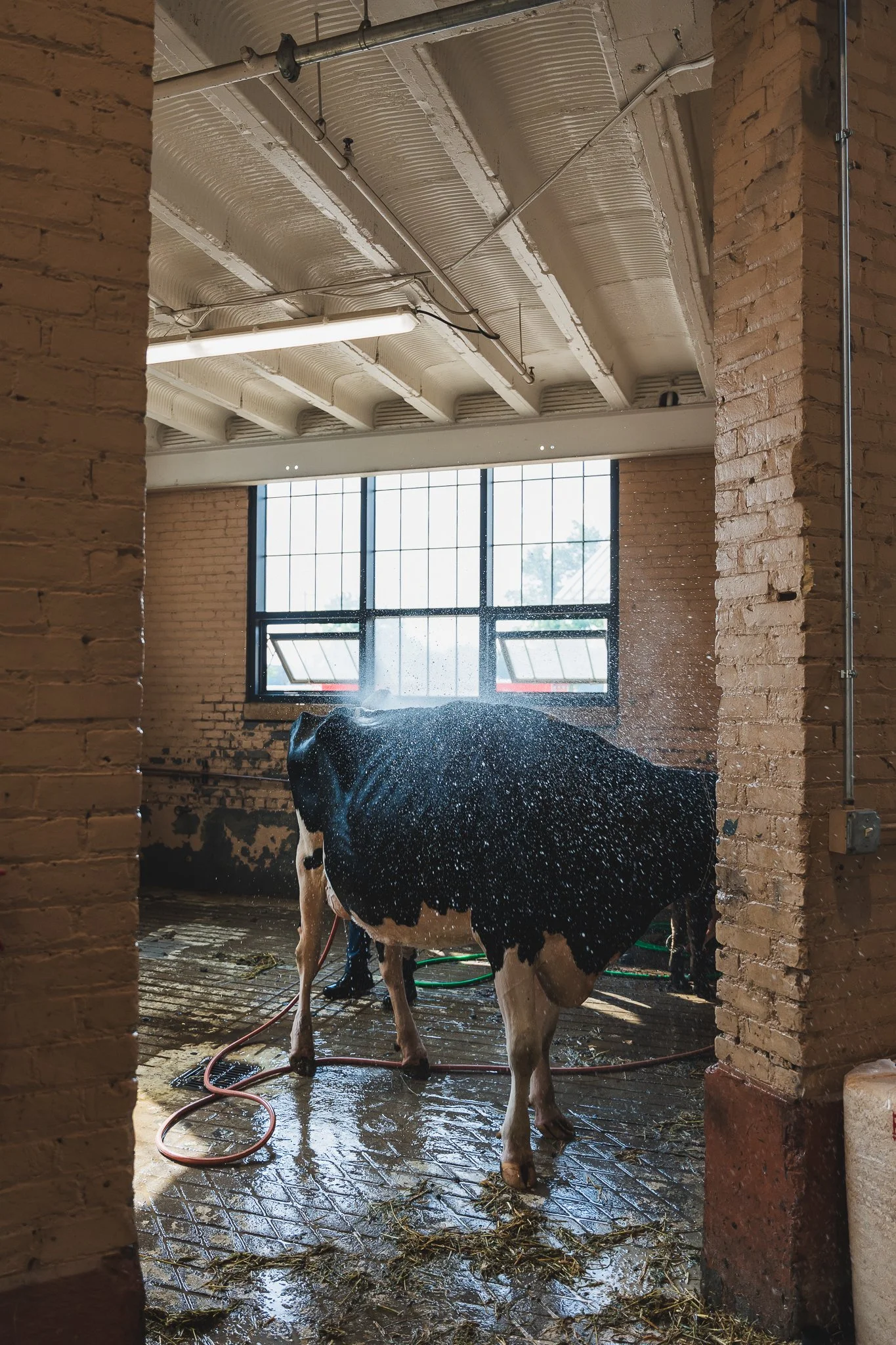 MNSF 2024 - Berndt-7401047.jpg