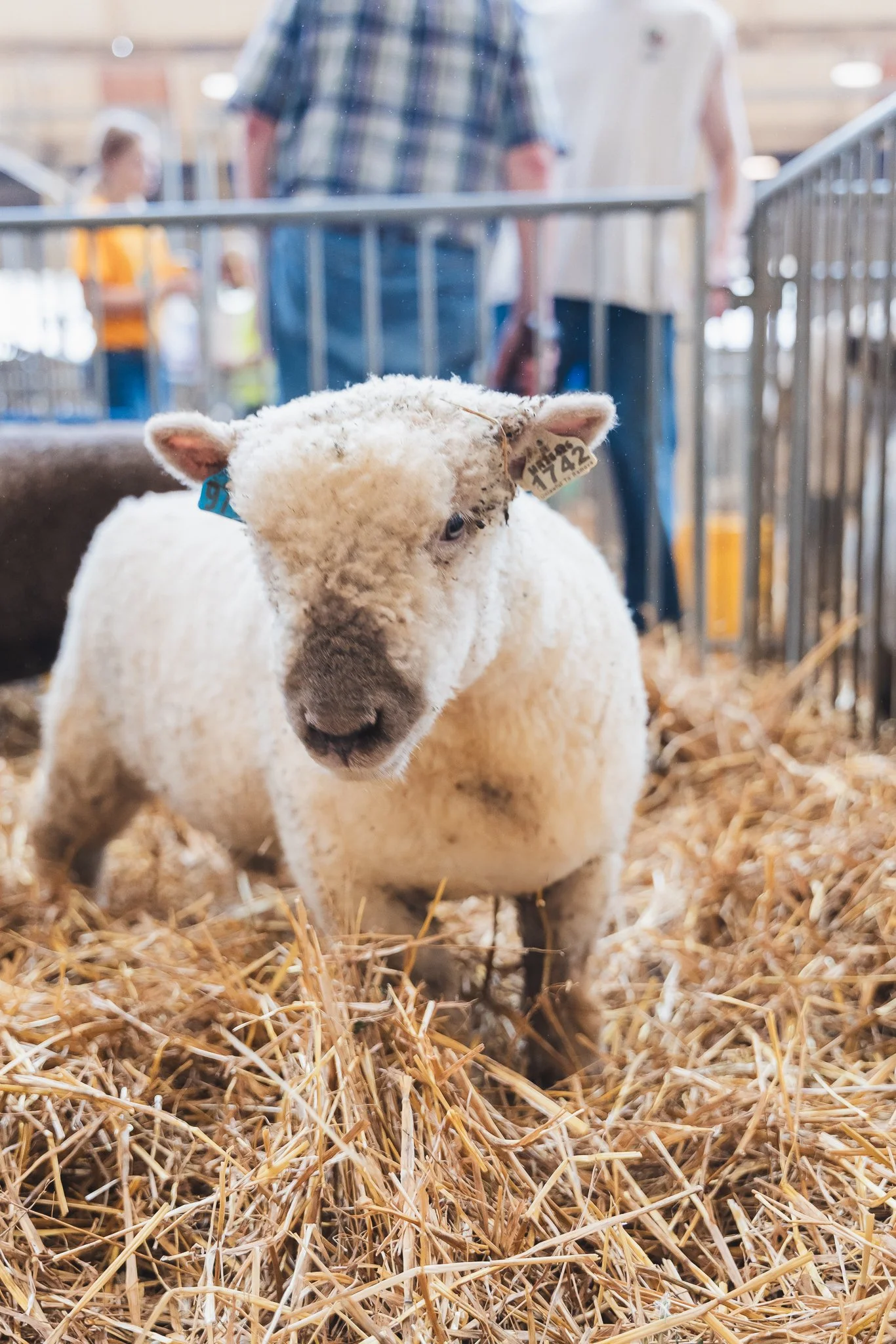 MNSF 2024 - Berndt-7401107.jpg