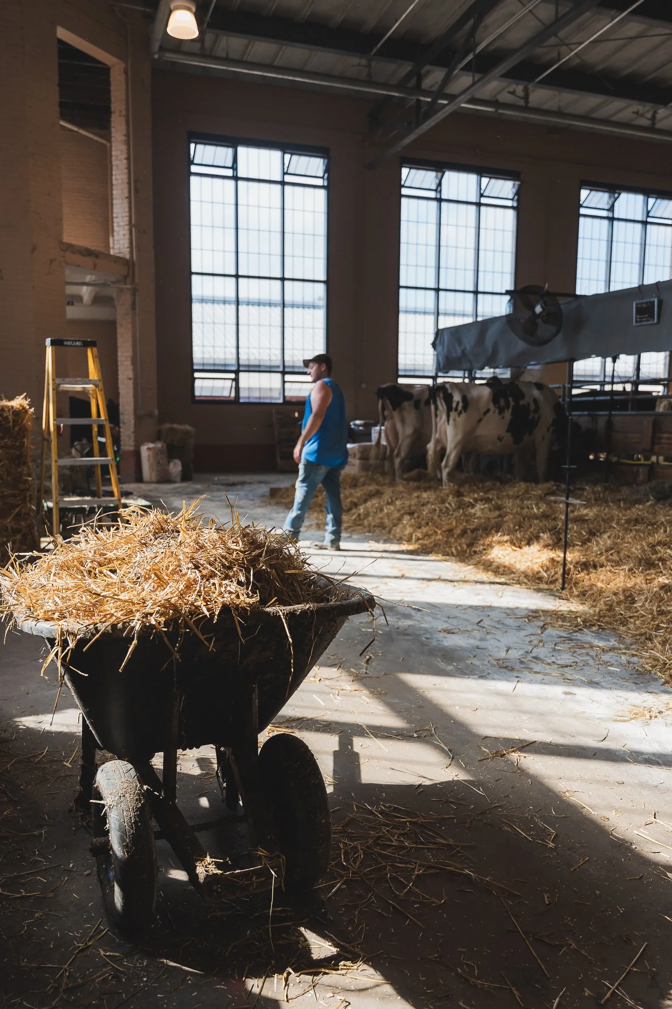 MNSF 2024 - Berndt-7401040.jpg