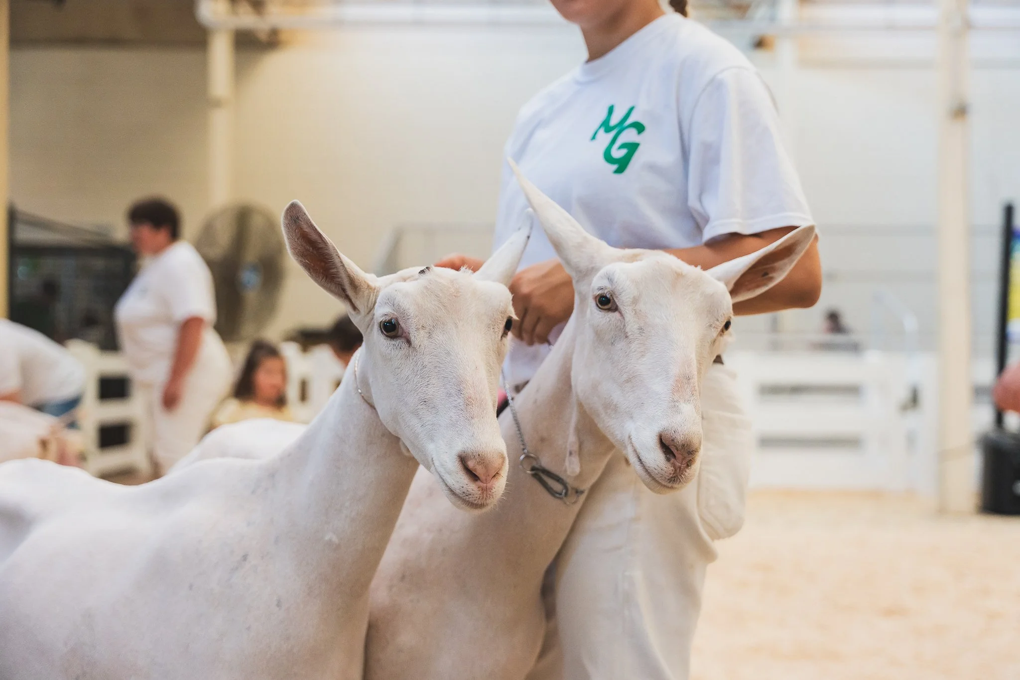 MNSF 2024 - Berndt-7404080.jpg