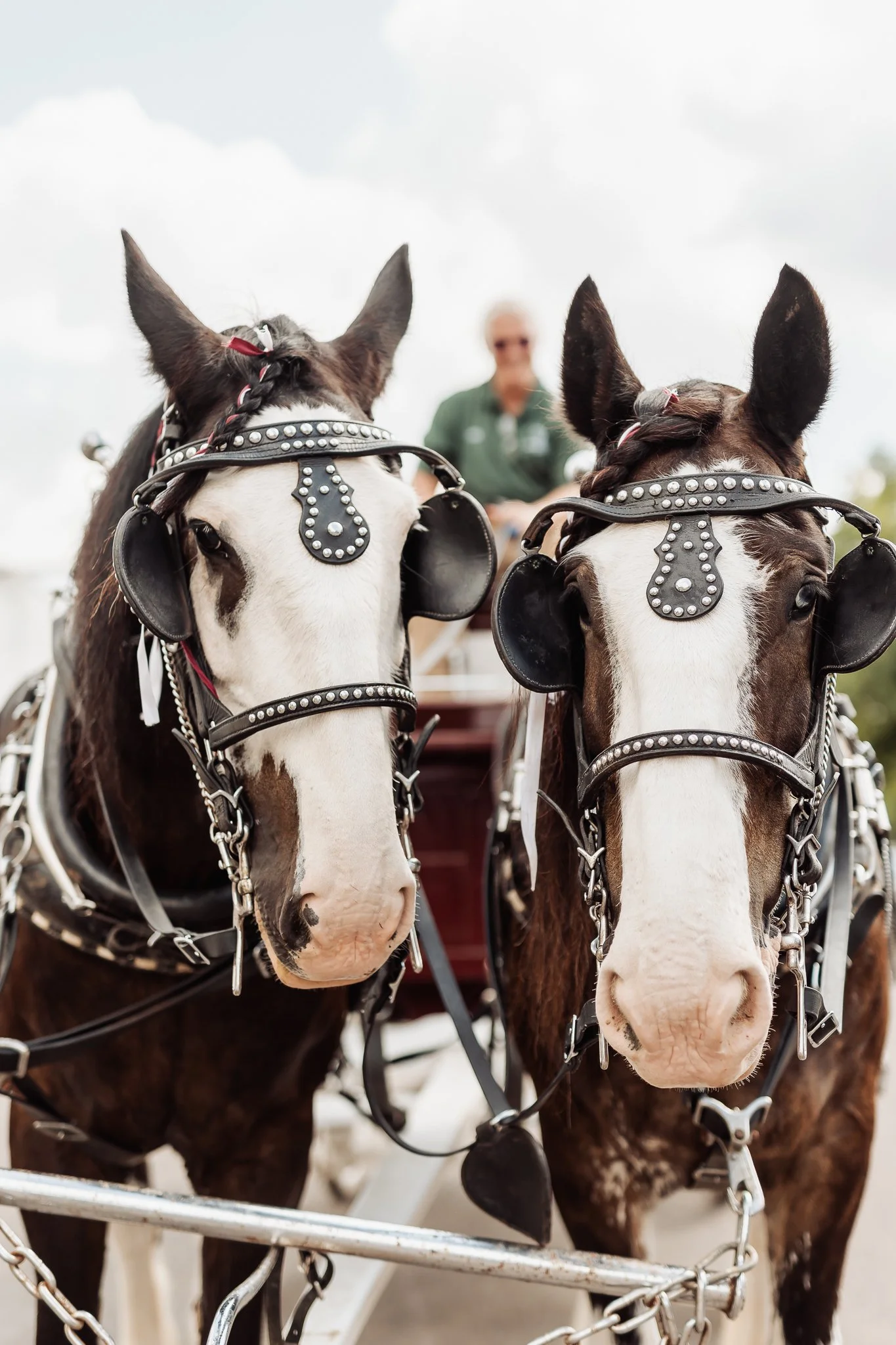 MN State Fair 2023 - Berndt-7400871.jpg