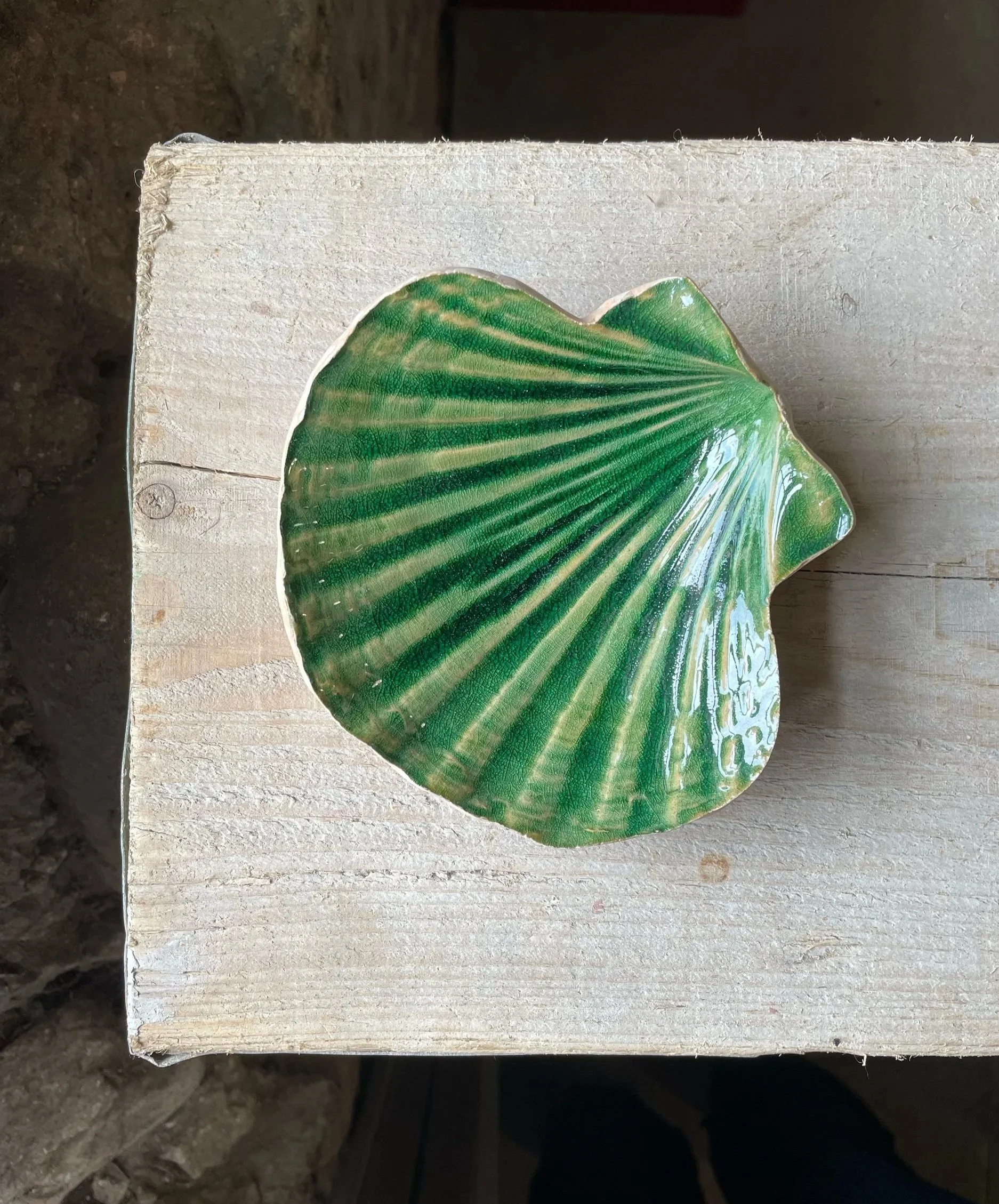 Scallop Shell (Moss Green)