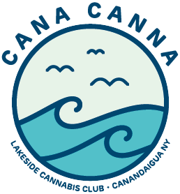 Artboard 4 copy 2.png