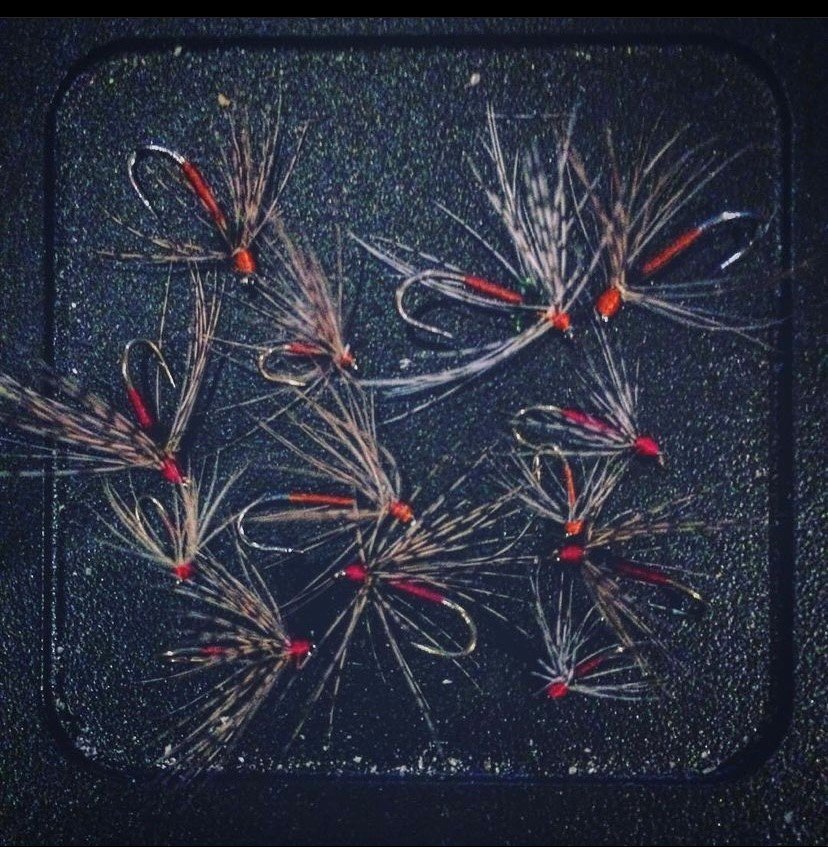 soft hackles.jpg