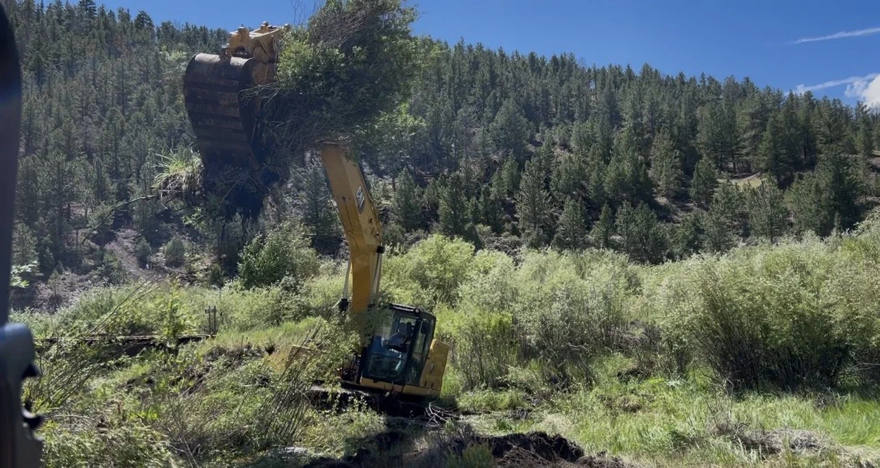 Tree Clearing Poncha Springs CO.jpeg