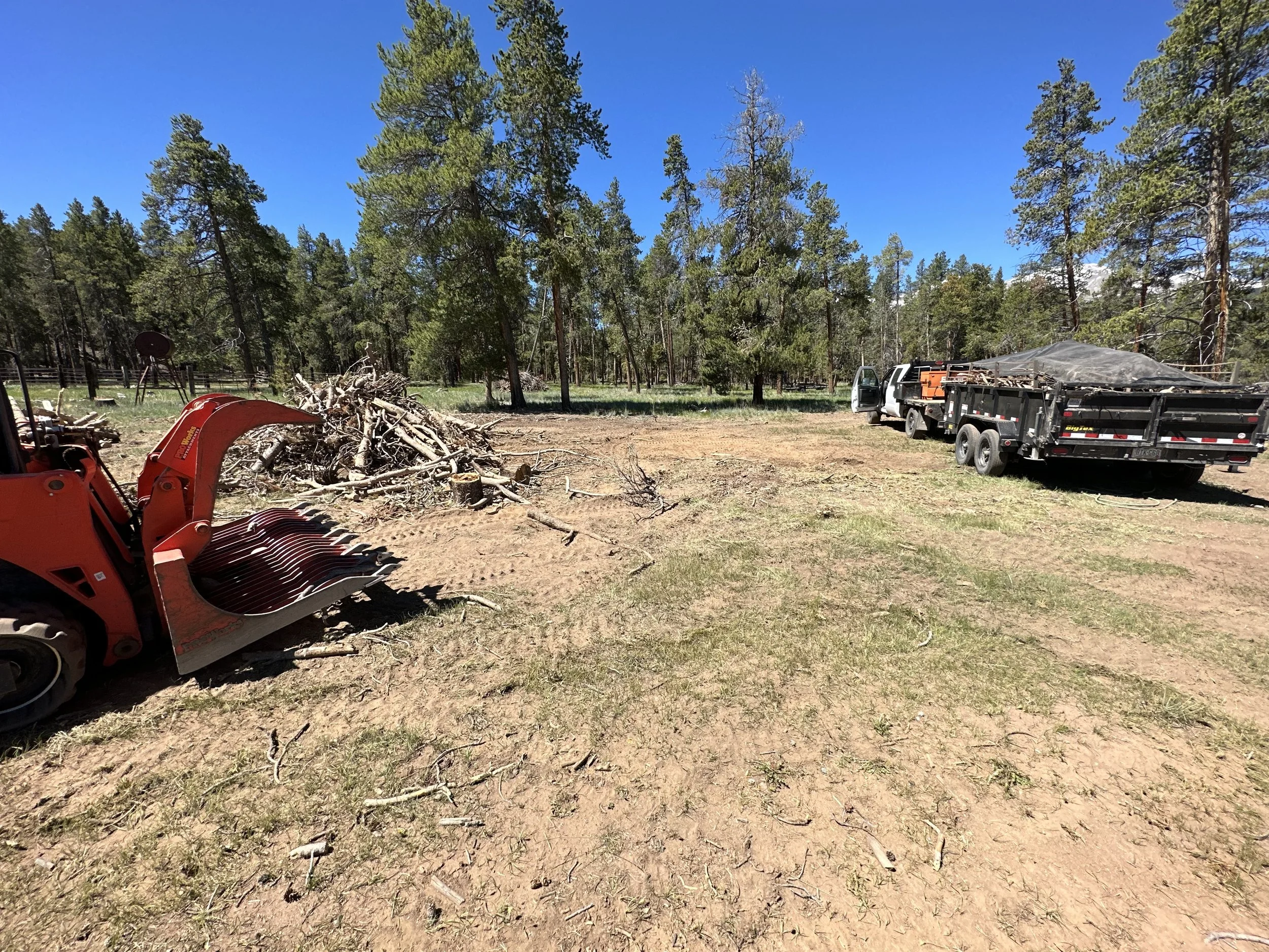 Land clearing — skid steer grapple and brush pile, Franktown CO area