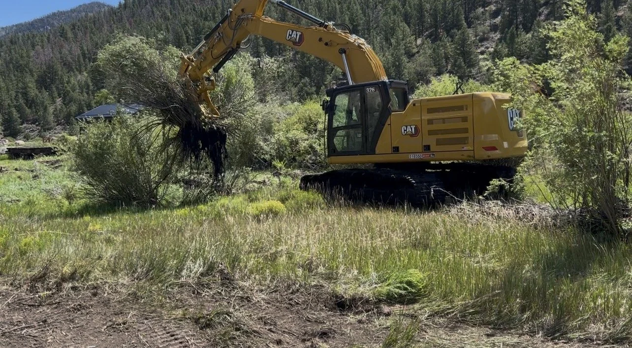Excavator clearing brush and shrubs for site access, Franktown CO area