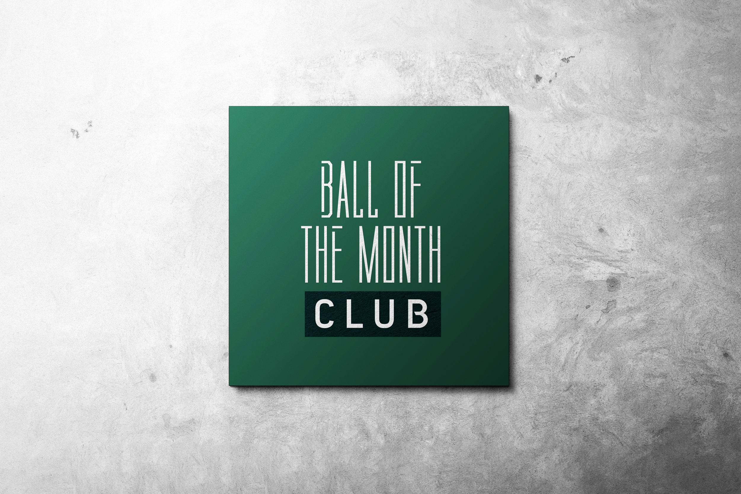 BOTMC_Logo_Mockup_ 2.png