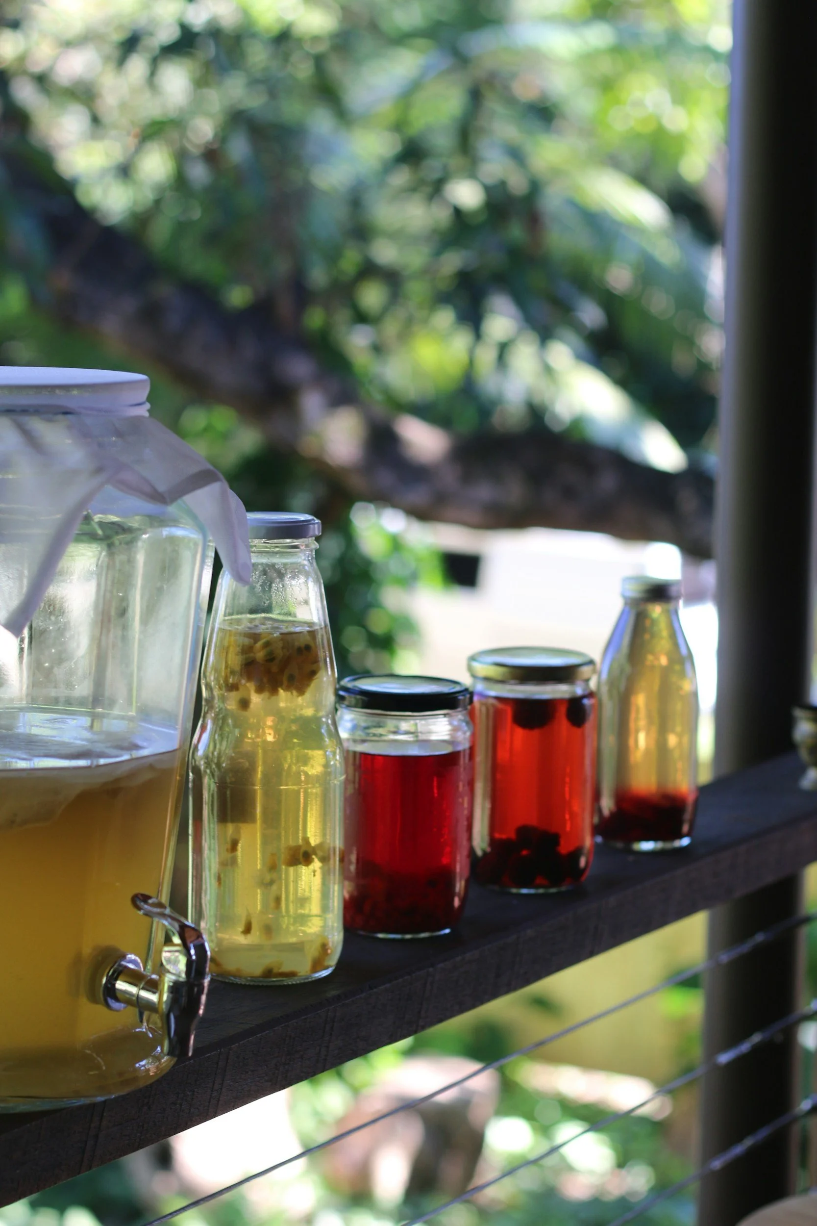 Kombucha FUNdamentals