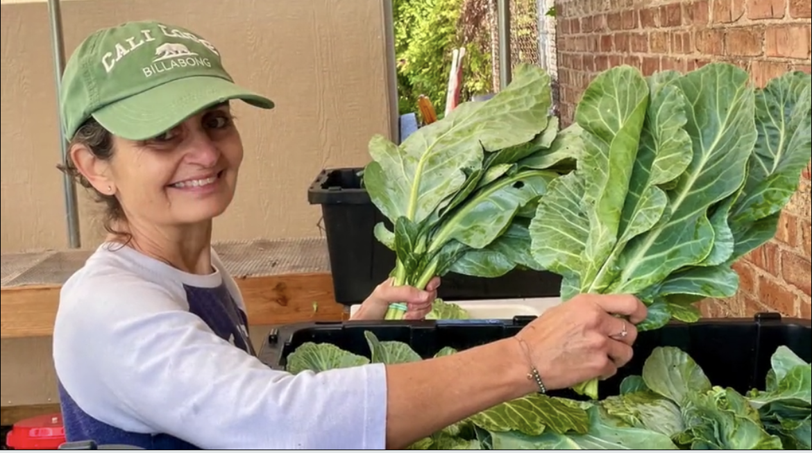 Evanston Grows Community Building Community withi….png