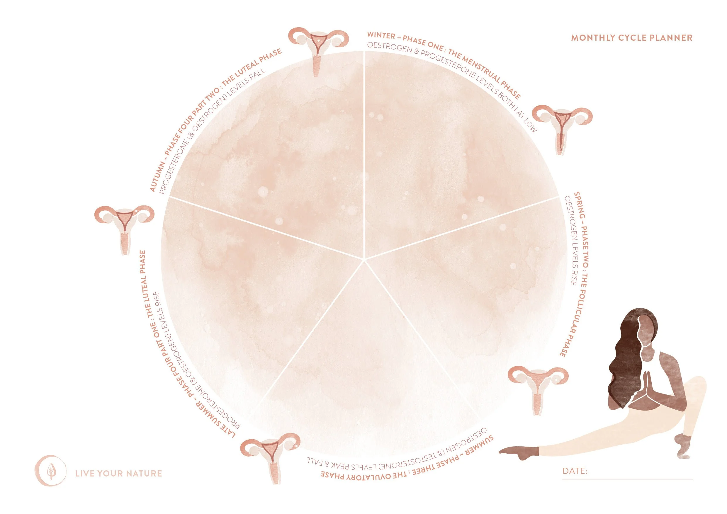 Menstrual Cycle Planners - Stretch - Set of Three - A4