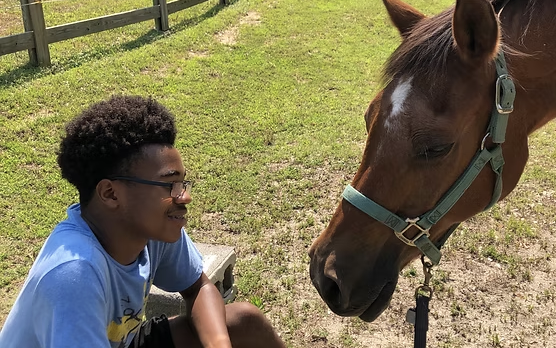 Horse stretching its head towards a boy.