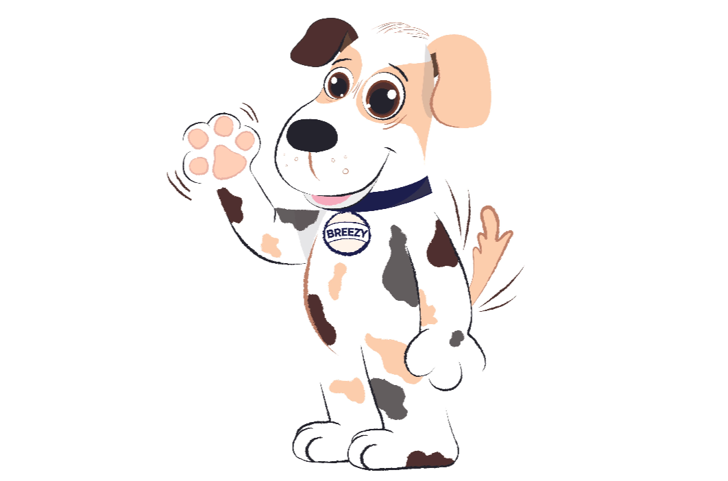 Breeze Car Wash Logo/Mascot Design