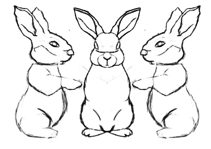 Bunny+Reading+Book+Reference.jpg