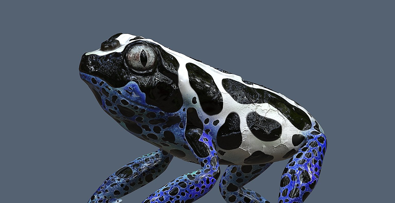 3D Lighting, Rendering & Painting/Texturing