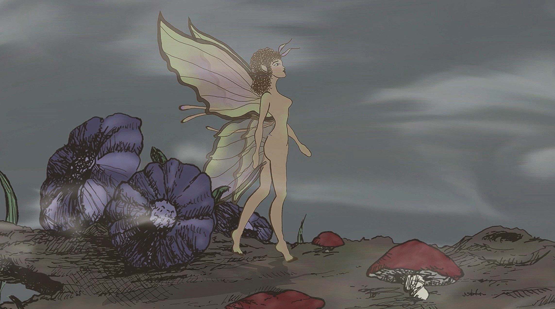 2D Motion/Animation