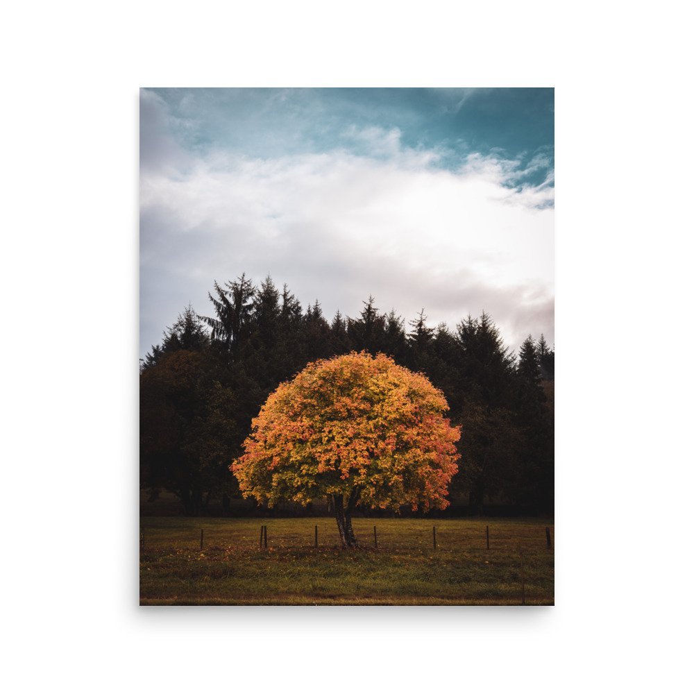 premium-luster-photo-paper-poster-(in)-16x20-front-649a1b8e422de.jpg