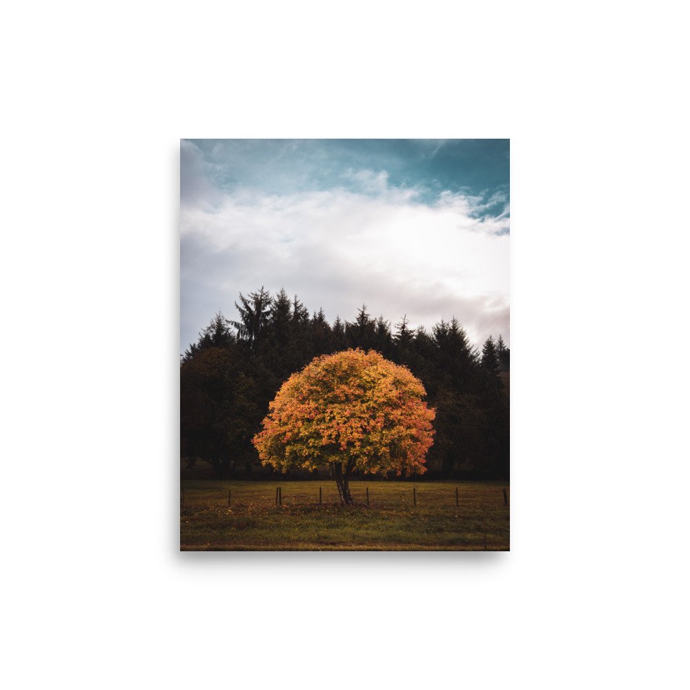 premium-luster-photo-paper-poster-(in)-8x10-front-649a1b8e433c2.jpg