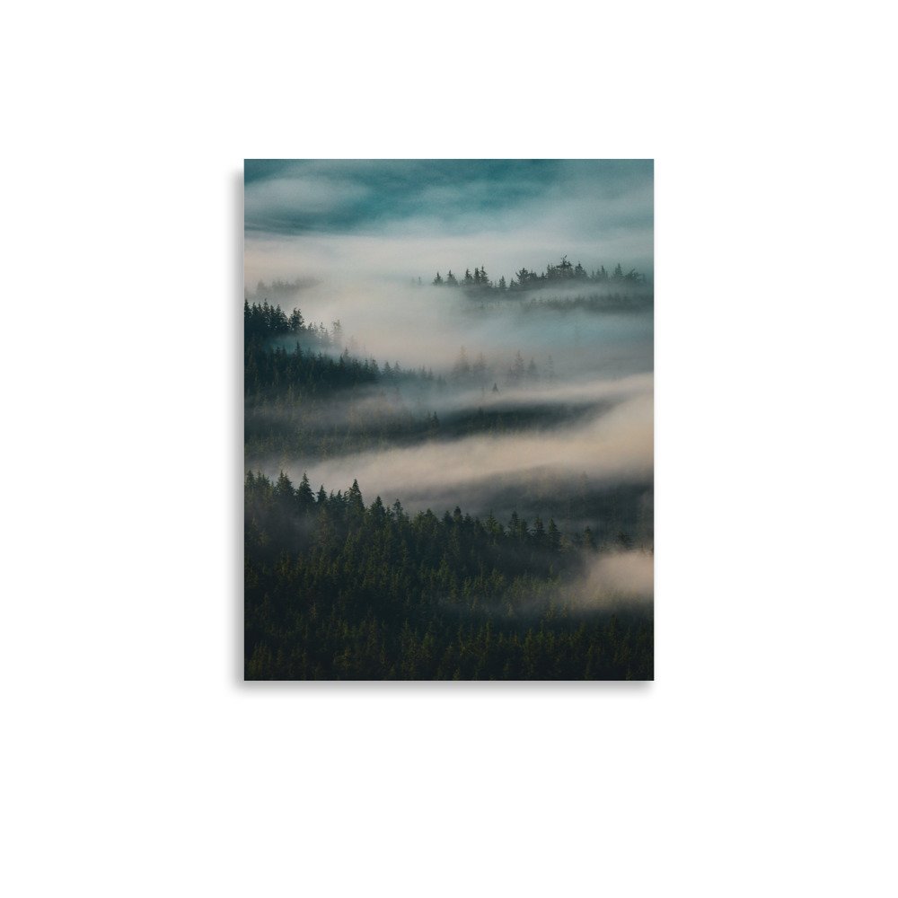 premium-luster-photo-paper-poster-(in)-11x14-front-64ebafd9b6c5a.jpg