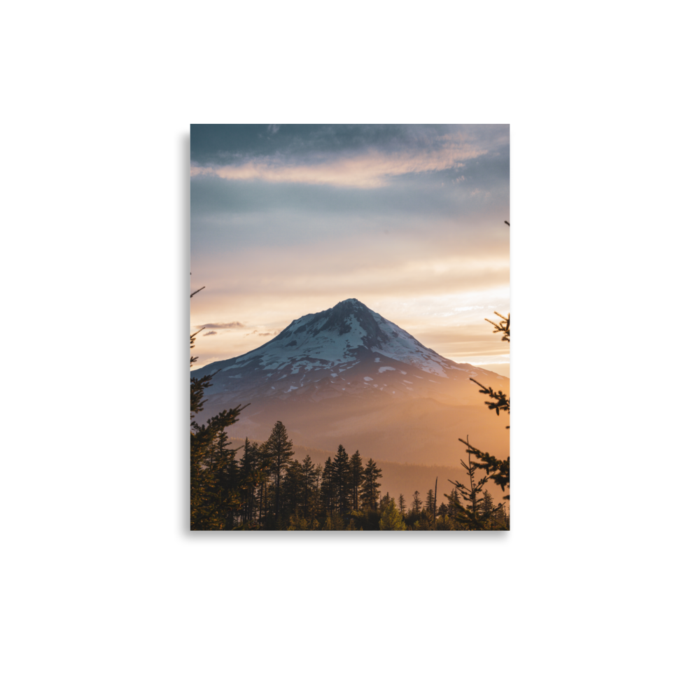 premium-luster-photo-paper-poster-(in)-11x14-front-64ebb91528194.png