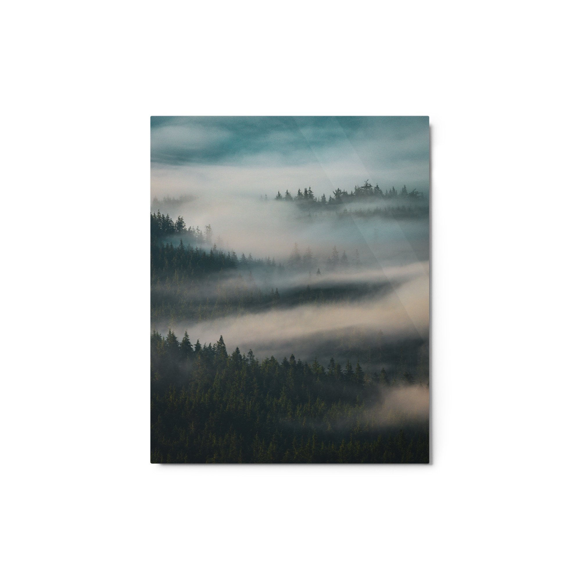 glossy-metal-print-(in)-white-8x10-front-6557ed74b9c18.jpg